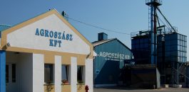 Munkatársat keresünk állatgondozó munkára!